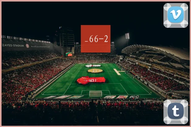 _66