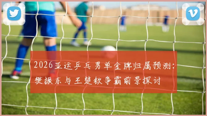 2026亚运乒乓男单金牌归属预测：樊振东与王楚钦争霸前景探讨